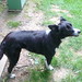 Jessie Summers Photo 6