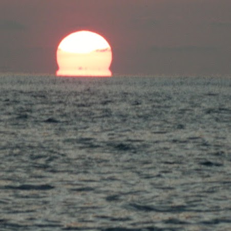 David Grey Photo 47