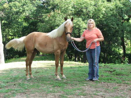 Paula Hutchinson Photo 23