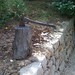 Robert Graver Photo 21