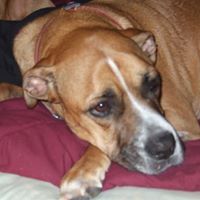 Debbie Talbott Photo 10