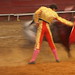 Rafael Cavazos Photo 12