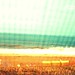 Raymond Beach Photo 9