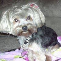 Traci King Photo 27