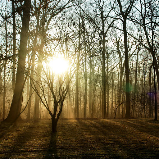John Guidera Photo 4