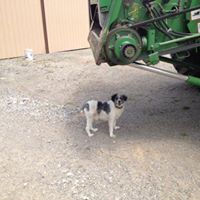 Danny Childers Photo 14