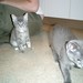 Cheryl Tubbs Photo 15