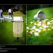 Jason Dey Photo 8