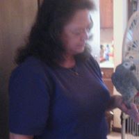Brenda Mcguire Photo 19