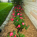 Gary Rose Photo 29