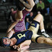 Matt Platt Photo 15