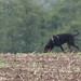 Jennifer Kreis Photo 17