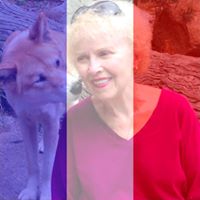 Carol Brody Photo 21