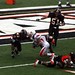 Mitch Tuttle Photo 10