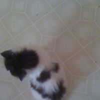 Beth Emerson Photo 30