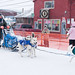 David Halverson Photo 23