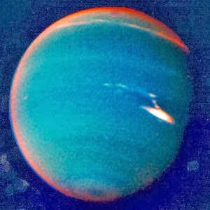 Nicholas Myers Photo 47