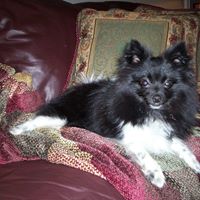 Rhonda Bruce Photo 22