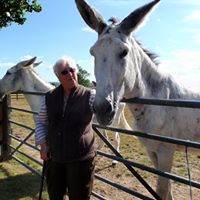 Frances Hitchcock Photo 8