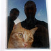 Mario Forte Photo 18
