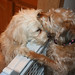 Gerry Fitzgerald Photo 9