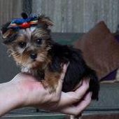 Sandy Simms Photo 7