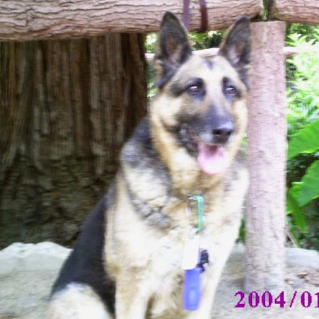 Joann Wilson Photo 30