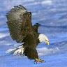 Cynthia Horne Photo 33