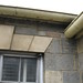T Collins Photo 8