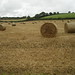 Devon Clarke Photo 10