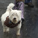 Heather Campagna Photo 16