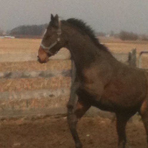 Christine Cagle Photo 19