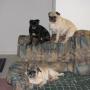 Sandra Gibbs Photo 22