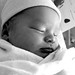 Christopher Born Photo 13