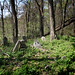 Rodney Winters Photo 20