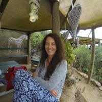 Kathy Searle Photo 20