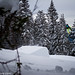 Andrea Bonk Photo 4