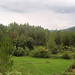 Lue Yang Photo 25