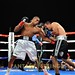 Alfonso Blanco Photo 15