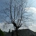 Sue Matlock Photo 14