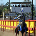 Jeffery Nixon Photo 19