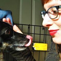 Rachel Solomon Photo 42