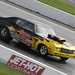 Marc Caruso Photo 22