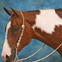 Christine Guenther Photo 23