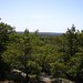 Lynn Stone Photo 26