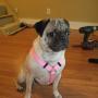 Marla Gardner Photo 20