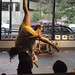 Jason Ries Photo 8