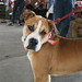 Aubrey Pendleton Photo 3