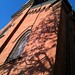 Francis Schultz Photo 11