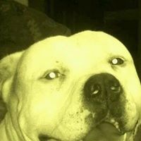 Karl Gauthier Photo 5
